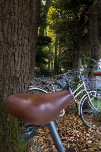 bikes-parked-under-trees-near-tokyo-photo-by-morgan-avery